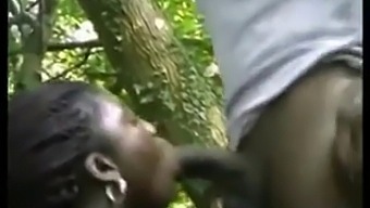 Black Ebony Beauty Enjoys Anal Sex