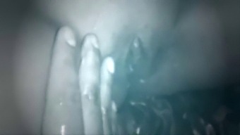 Novia'S Homemade Video Showcases Her Wild Side With A Big-Cocked Partner